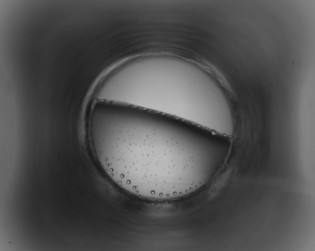 X0000100400784200806060853