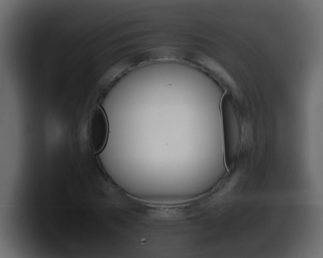 X0000100400785200806060853