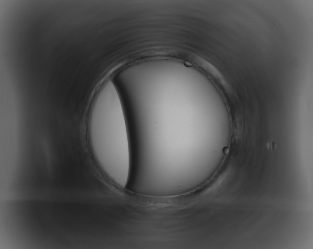 X0000100400786200806060853