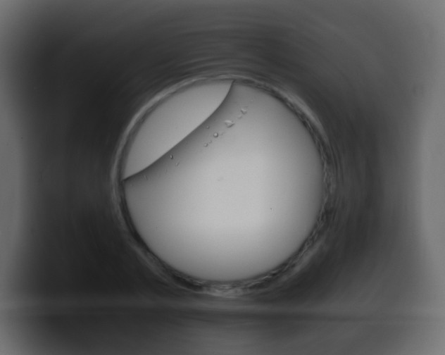 X0000100400789200806060853