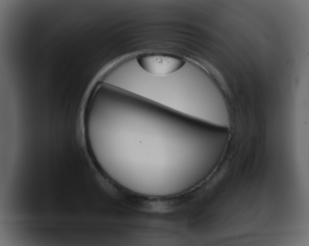 X0000100400792200806060853
