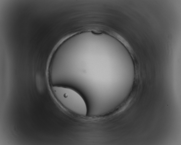 X0000100400803200806060853