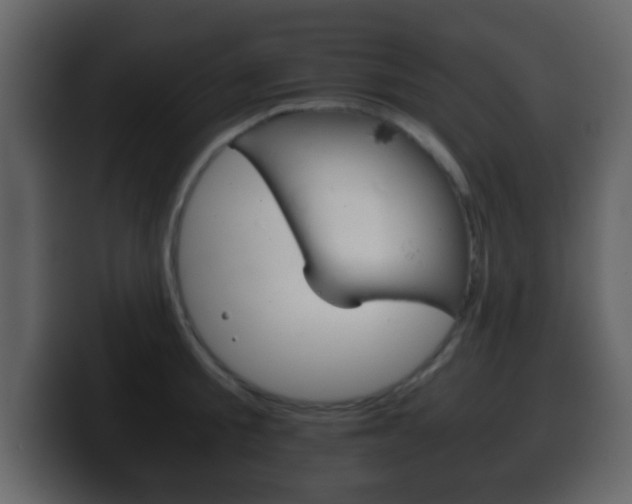 X0000100400805200806060853