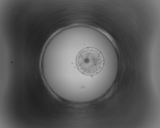 X0000100400807200806060853