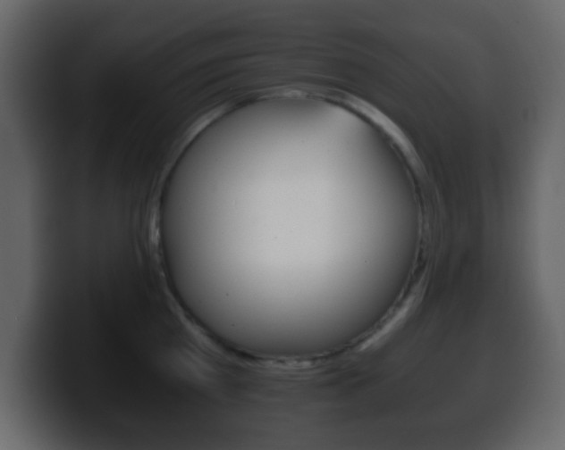 X0000100400809200806060853