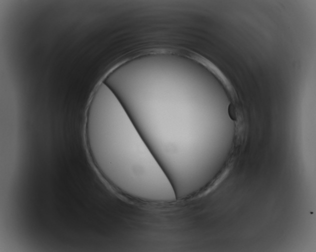 X0000100400810200806060853