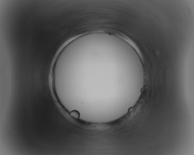 X0000100400811200806060853