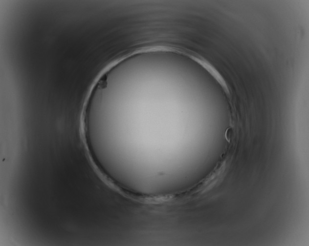 X0000100400813200806060853