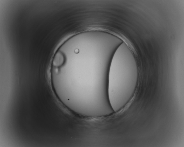 X0000100400814200806060853
