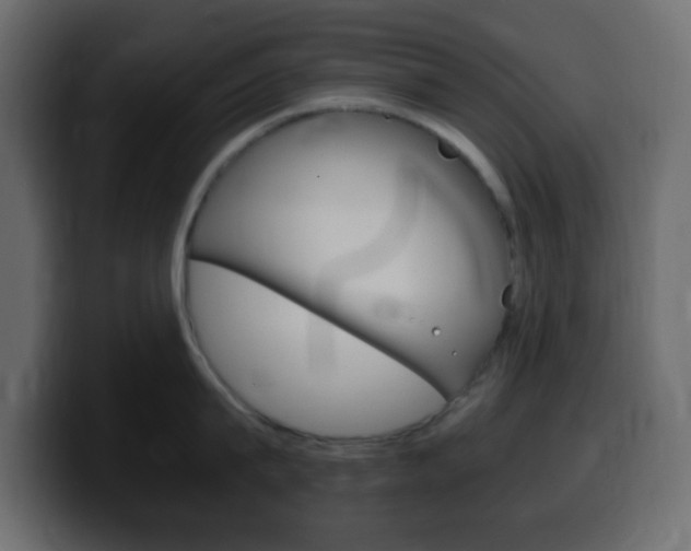 X0000100400815200806060853