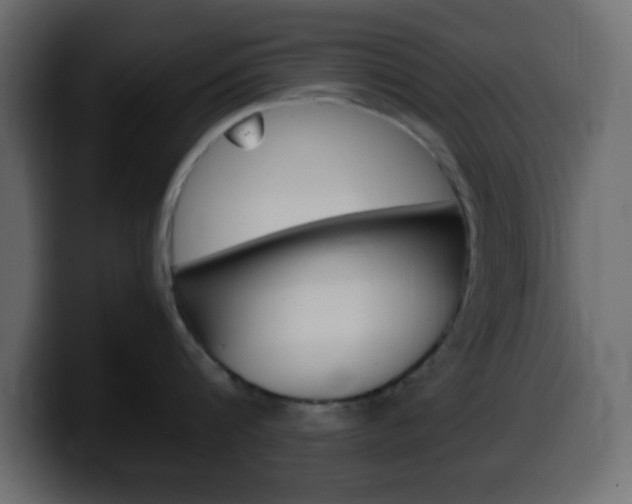 X0000100400816200806060853