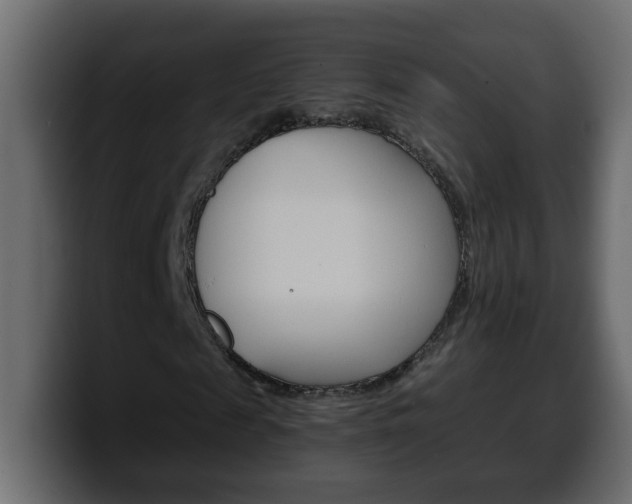 X0000100400817200806060852