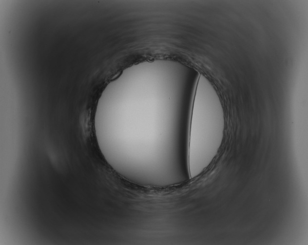 X0000100400818200806060852