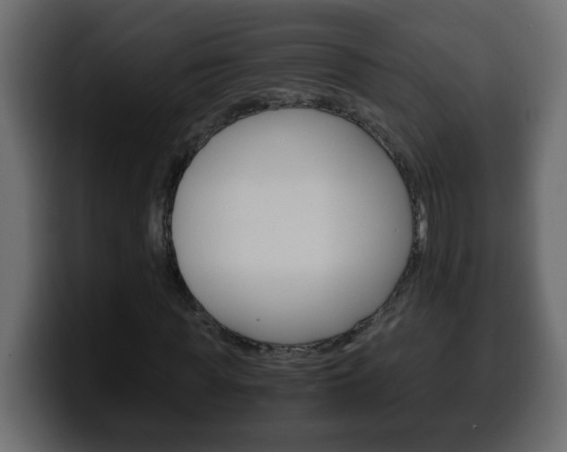 X0000100400819200806060852