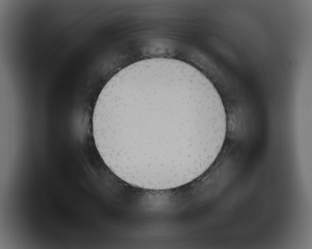 X0000100400820200806060852