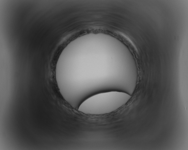 X0000100400823200806060852
