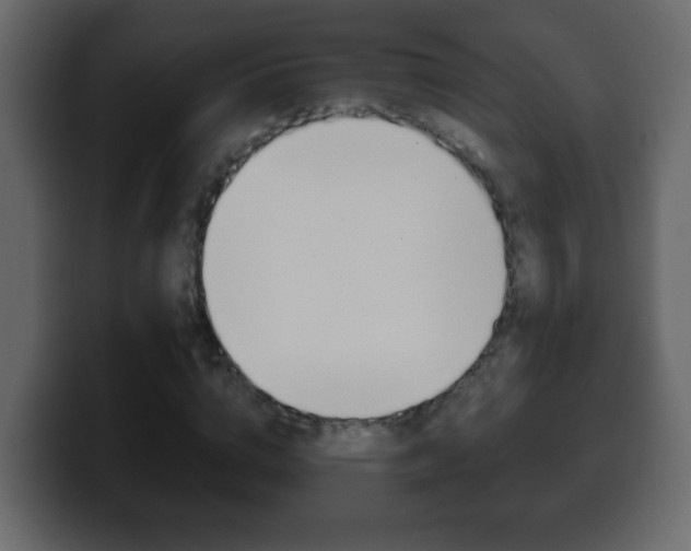 X0000100400824200806060852