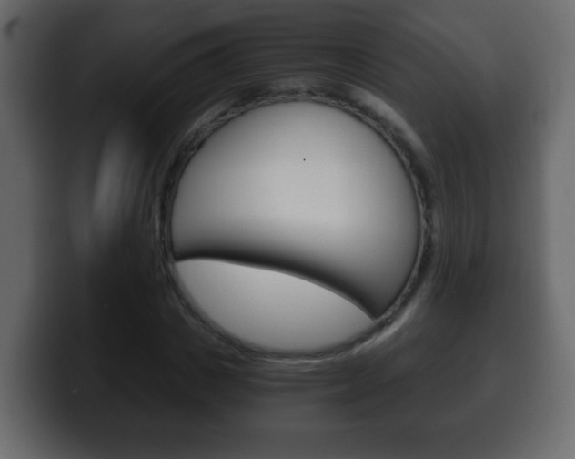X0000100400825200806060852