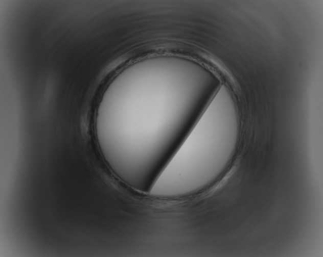 X0000100400826200806060852