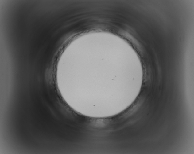 X0000100400828200806060852