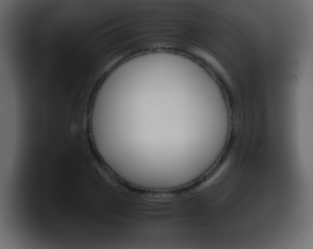 X0000100400833200806060852