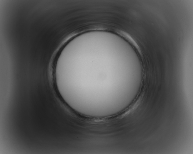 X0000100400835200806060852