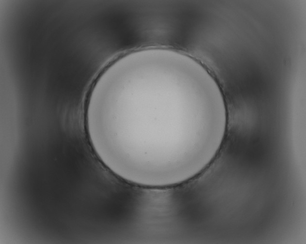 X0000100400836200806060852