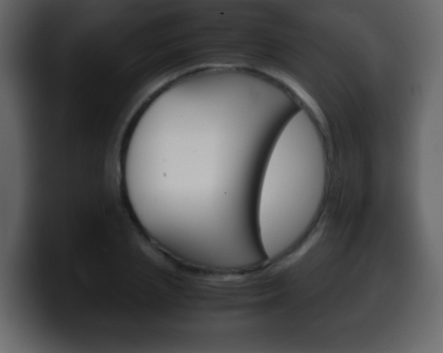 X0000100400837200806060852