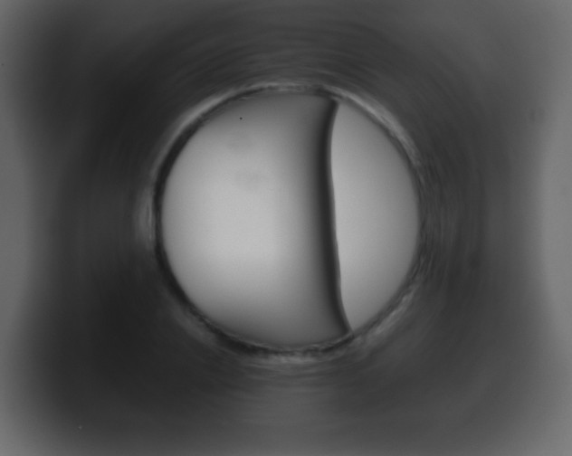 X0000100400838200806060852