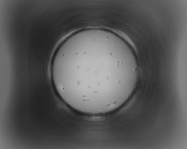 X0000100400839200806060852