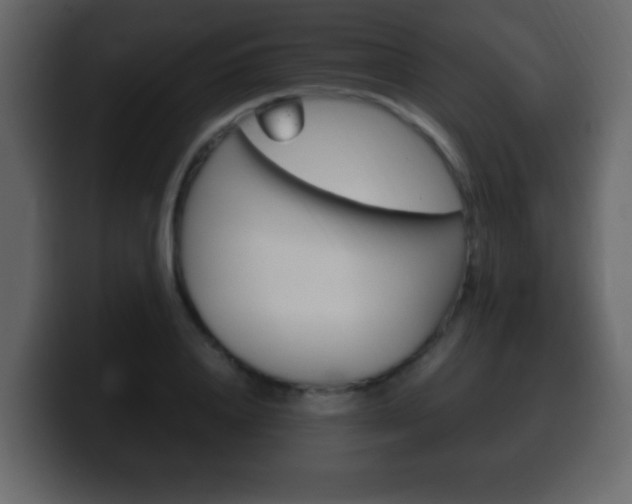 X0000100400840200806060852