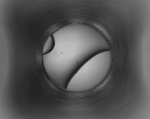 X0000100400841200806060853