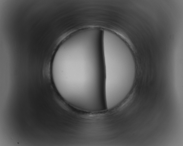 X0000100400842200806060853