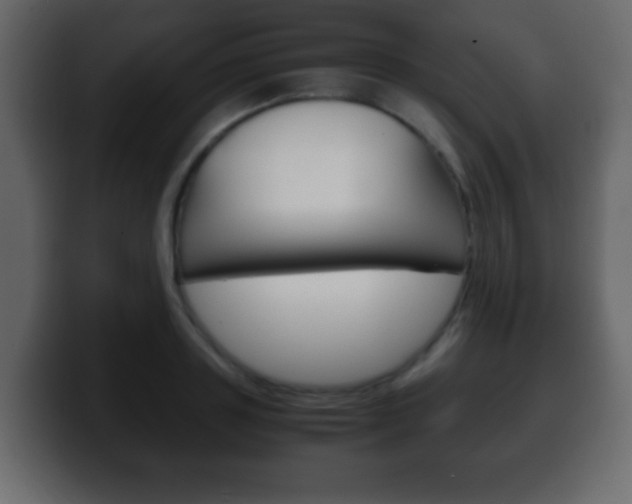 X0000100400843200806060853