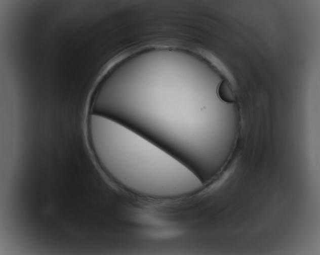 X0000100400845200806060853