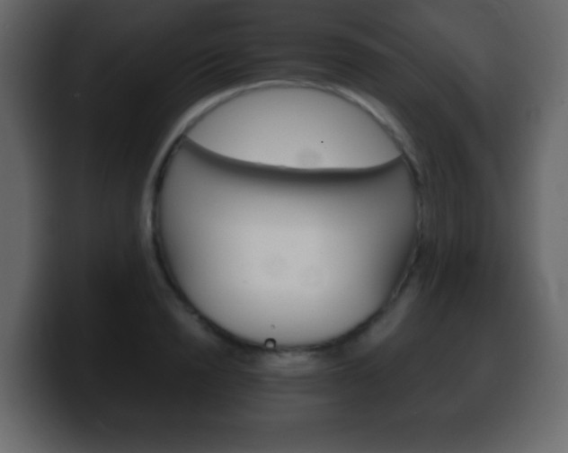 X0000100400846200806060853