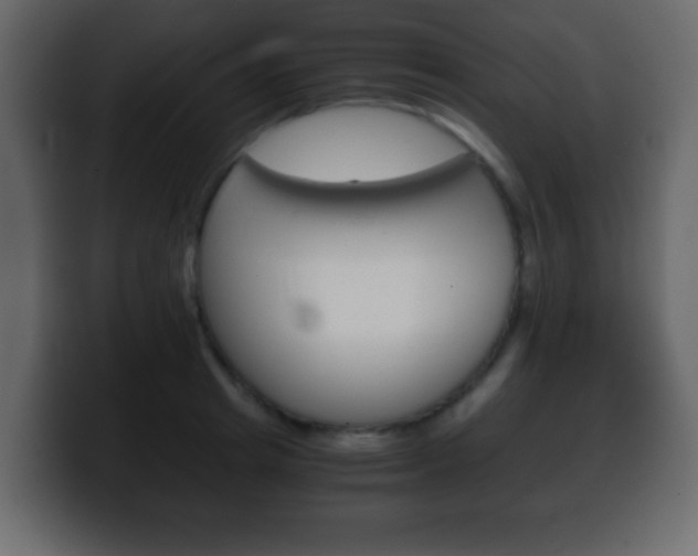 X0000100400849200806060853