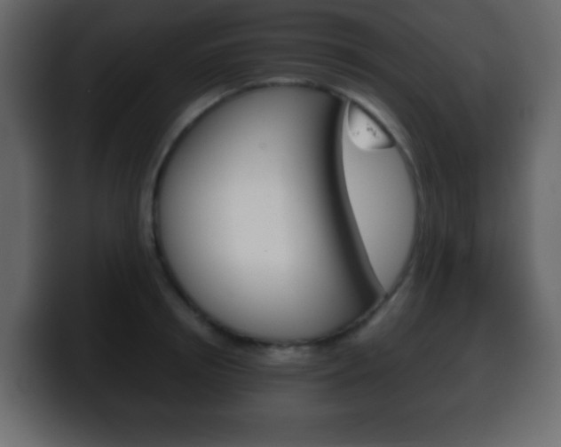 X0000100400850200806060853