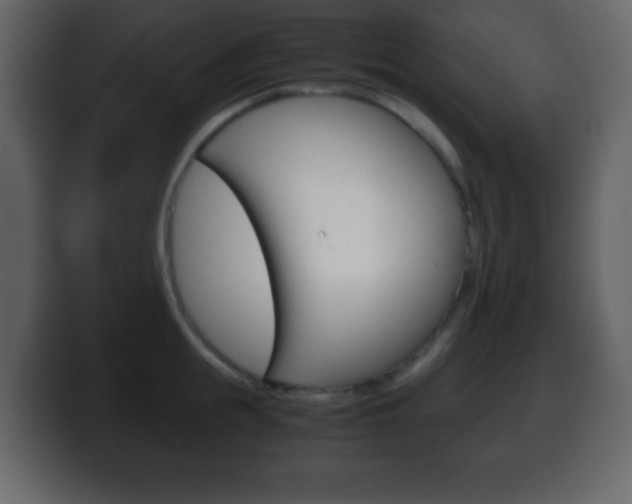 X0000100400855200806060853