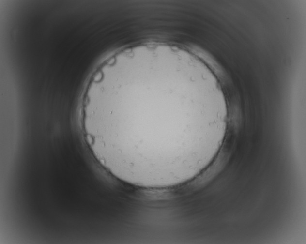 X0000100400856200806060853