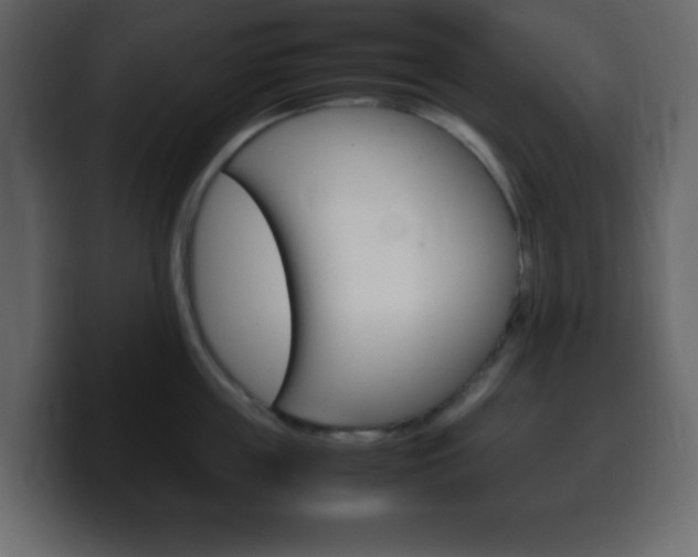 X0000100400859200806060853