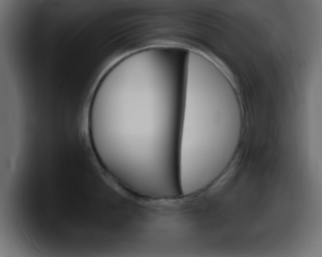 X0000100400862200806060853