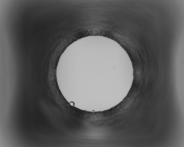 X0000100400865200806060852