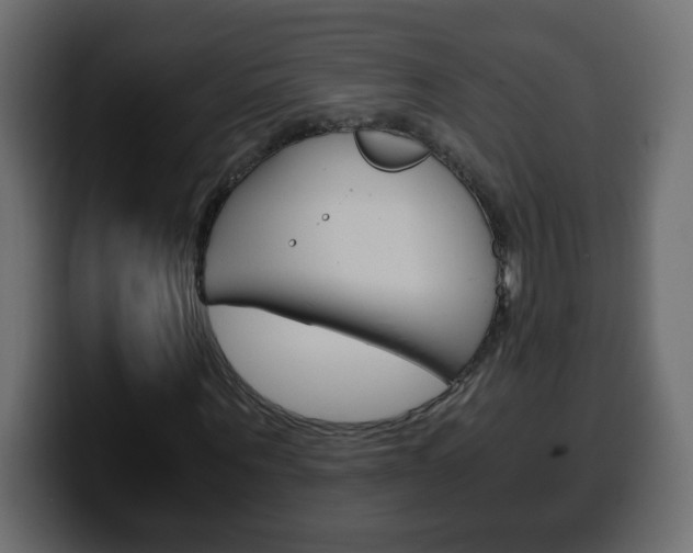 X0000100400867200806060852