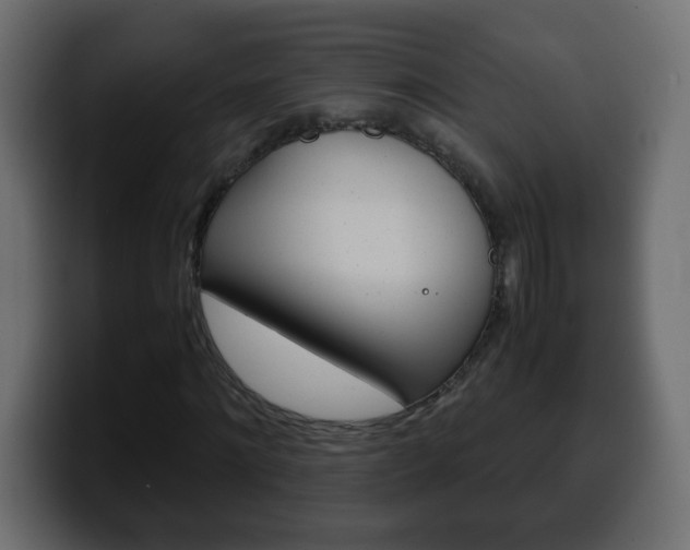 X0000100400868200806060852