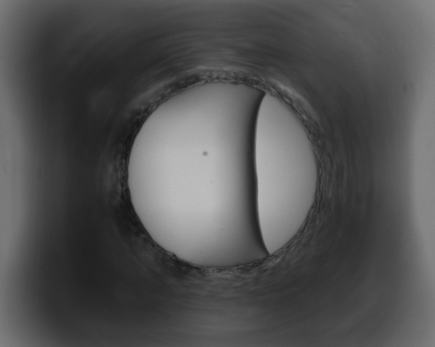 X0000100400870200806060852