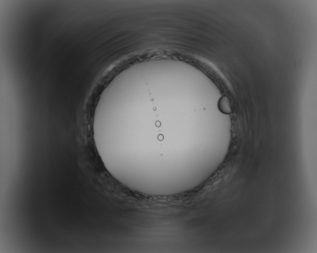 X0000100400871200806060852