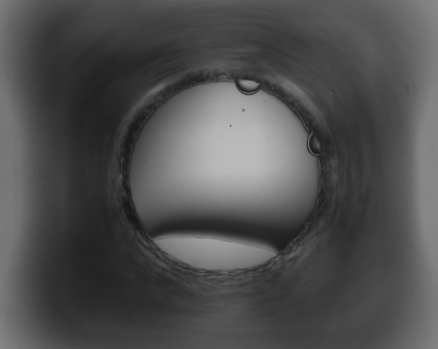 X0000100400872200806060852