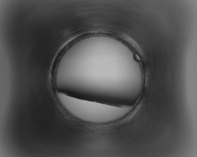 X0000100400876200806060852