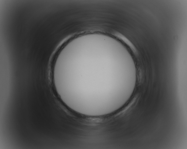X0000100400878200806060852